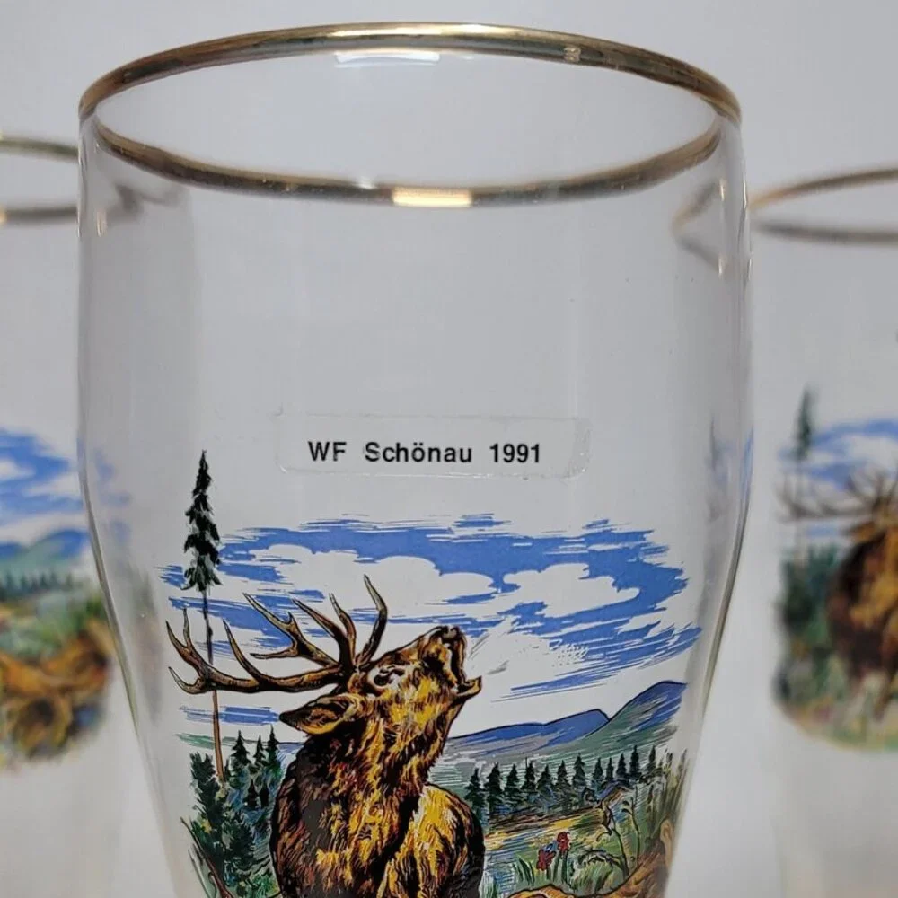 Vintage German Volksmarch Glass Beer Mug with Gold Rim - WF Schonau 1991- 1glass